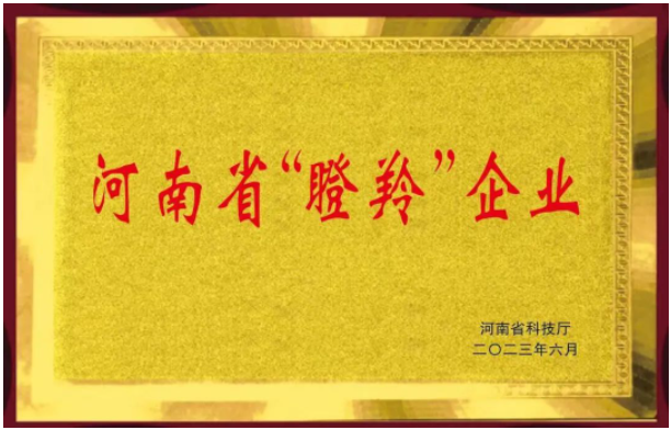 恒力橡塑股份有限公司的入選不僅證明了該公司在橡膠助劑領(lǐng)域的突出成就，同時也彰顯了河南省在科技創(chuàng)新和高新技術(shù)企業(yè)培育方面的努力。