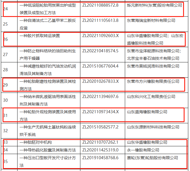 該名單的公示期為6月27日至7月4日，由東營市高價(jià)值專利評(píng)審委員會(huì)辦公室組織開展。
