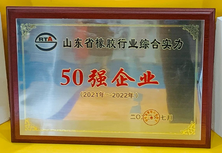 萬達寶通輪胎表示將繼續以客戶的青睞為動力，把握此次展會的契機，以消費者的需求為中心，不斷提高自主創新能力，優化產品結構，進一步夯實高質量發展的基礎。公司致力于提供高質量、高標準、高性價比的產品，為全球用戶提供更安全舒適的駕乘體驗。