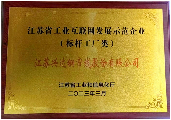 江蘇興達榮獲“2023年度江蘇省工業互聯網標桿工廠”稱號，為該公司的數字化轉型之路奠定了堅實基礎。未來，江蘇興達表示將進一步整合先進技術，推動行業智能化生產水平的提升，為橡膠行業的智能制造和綠色制造作出更大貢獻。