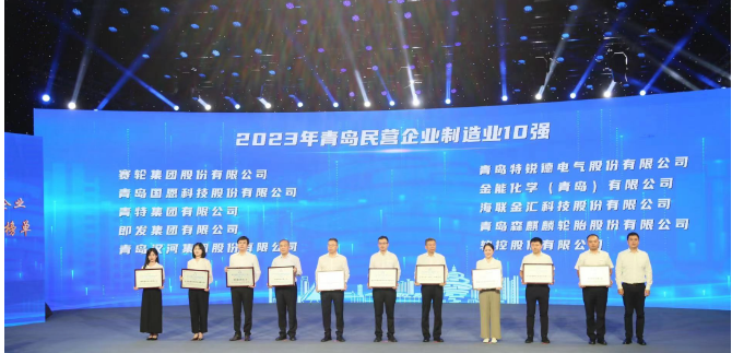 依托青島科技大學(xué)的支持，賽輪集團(tuán)憑借其內(nèi)在的科技創(chuàng)新基因脫穎而出。成立20余年來，該集團(tuán)始終秉持著“做一條優(yōu)質(zhì)輪胎”的使命，緊緊抓住自主創(chuàng)新這一引擎，聯(lián)合國家橡膠與輪胎工程技術(shù)研究中心，全力攻克一系列核心技術(shù)難題。不僅成功研發(fā)出世界最大尺寸的63吋巨型工程子午胎，還發(fā)布了全球首個投入使用的橡膠工業(yè)互聯(lián)網(wǎng)平臺——“橡鏈云”。此外，其還運(yùn)用全球首創(chuàng)的化學(xué)煉膠技術(shù)，成功研發(fā)出新一代輪胎產(chǎn)品，被譽(yù)為“液體黃金”輪胎。這一產(chǎn)品不僅在耐磨方面實現(xiàn)突破，還在節(jié)能、舒適性和制動距離等方面做出了顯著貢獻(xiàn)，解決了業(yè)界長期面臨的“魔鬼三角”難題。