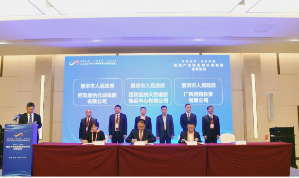 本次活動的主題為“開放共享 合作共贏”，吸引了來自省內外的數百位企業家共襄盛舉。活動中，代表們有機會展開充分的交流和深入的洽談，旨在達成更多合作共識，促進全方位的合作，推動云南天然橡膠的高質量發展。會上舉行了項目簽約儀式，共有6個項目成功簽約，總投資額達到30億元。與會的各個州市代表在現場對這些項目進行了詳細介紹，并進行了項目交流。
