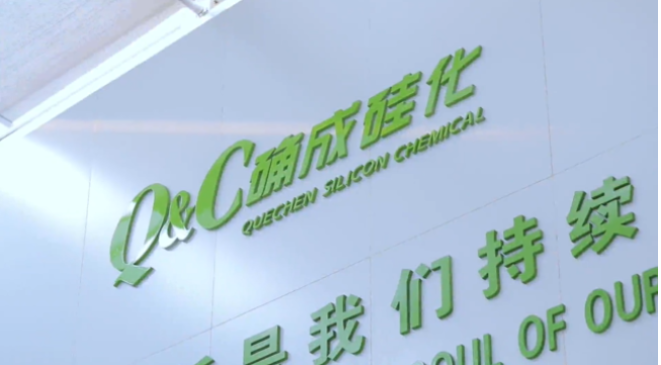 確成硅化學股份有限公司自成立至今，專注于沉淀法二氧化硅產品的研發、制造和銷售，經過20年的發展，已經成為全球主要的二氧化硅產品專業制造商之一。確成股份擁有從原材料硫酸、硅酸鈉到最終產品二氧化硅的制造產業鏈，產品主要市場聚焦在橡膠工業領域的高性能子午線綠色輪胎配套專用材料以及動物營養品領域的動物飼料載體用二氧化硅。此外，確成股份在國內外擁有多個生產基地，總產能位列世界第三位，主要客戶包括國際知名輪胎和動物營養品公司。