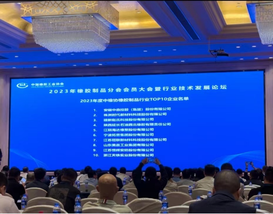 本次大會上，2023年度全國橡膠制品行業“十強”企業名單重磅出爐。名單顯示，安徽中鼎控股(集團)股份有限公司、株洲時代新材料科技股份有限公司、建新趙氏科技股份有限公司在2023年的綜合實力和市場地位上取得了顯著成就，獲得了橡膠制品行業“十強”企業前三名的榮譽。