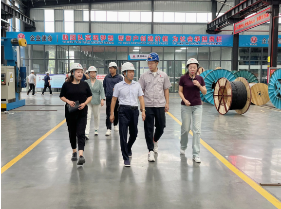 華東電纜表示下半年將集中精力提高產(chǎn)品質(zhì)量，強(qiáng)化風(fēng)險(xiǎn)防控，積極應(yīng)對(duì)市場(chǎng)訂單，全力以赴，確保完成全年經(jīng)營發(fā)展目標(biāo)任務(wù)，進(jìn)一步推動(dòng)經(jīng)濟(jì)實(shí)現(xiàn)有效提升和合理增長。