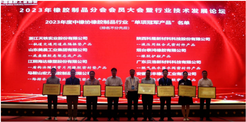 在行業技術發展論壇上，15位嘉賓在橡膠密封、軌道交通、產品檢測、原材料等領域為與會代表做了精彩的報告。
