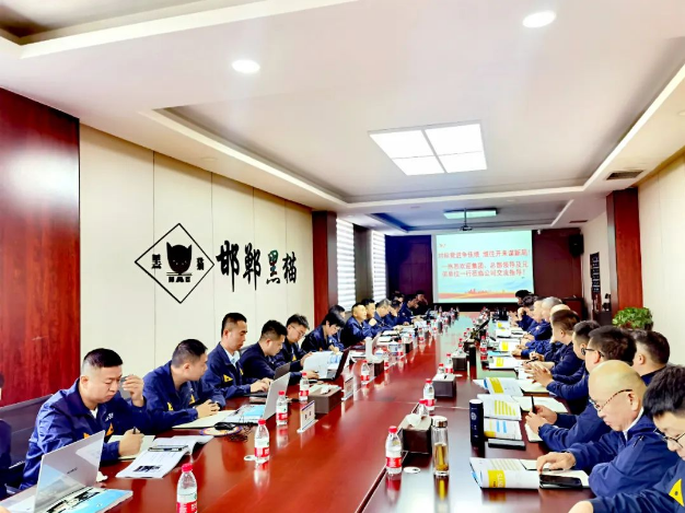 在邯鄲黑貓公司的調(diào)研會上，盛旺喜明確了現(xiàn)場管理的數(shù)字化改革進程，并要求標準化工作流程，以提高工作效率。他強調(diào)員工應(yīng)積極參與現(xiàn)場維護，提高員工的歸屬感和責任感。此外，他強調(diào)要堅決杜絕“八大浪費”，以使生產(chǎn)過程更加科學規(guī)范。