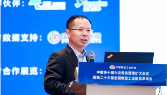 中國橡膠工業協會副會長兼秘書長雷昌純作了“橡膠工業經濟運行情況分析和協會重點工作及展望”的報告。以詳實的數據，對1～8月份國家統計局數據，以及橡膠行業主要經濟運行指標進行了分析，對橡膠行業專利申請情況進行了匯總分析，介紹了橡膠行業開展的重點工作的進展，并作了展望。