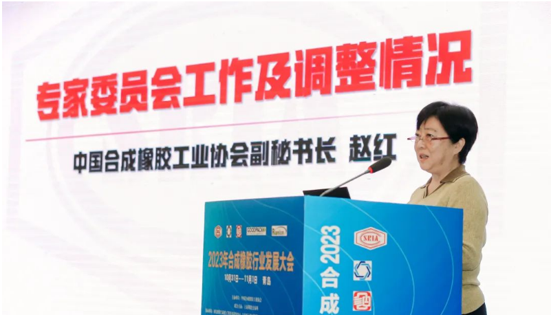 中國合成橡膠工業協會秘書長趙紅詳細介紹了專家委員會的工作情況和新一屆專家委員會的組成。會長梁愛民為專家委員會主任委員張立群院士頒發了聘書，標志著專家委員會的正式成立。