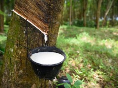 橡塑產量數據公布，行業面臨新機遇與挑戰