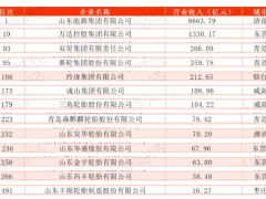 2024山東500強，輪胎企業(yè)大放異彩！