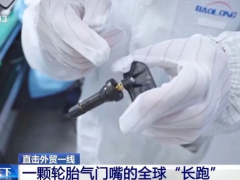 國內市場成底氣！保隆科技迎戰(zhàn)美國關稅有 “高招”