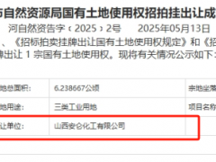 3200萬元！炭黑廠競得一塊工業用地！