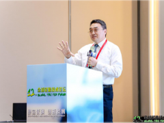 吉林大學突破非充氣輪胎設(shè)計理論，引領(lǐng)全球綠色輪胎革命
