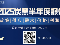 【半年報】2025炭黑半年度報告