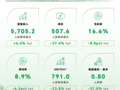 浦林成山，2025 中報(bào)增收不增利！