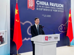 中國輪胎巨頭董事長,聯合國發言